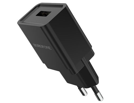 СЗУ + Кабель micro USB Borofone BA19A, Black
