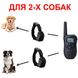 Электроошейник для собак с 2-мя ошейниками Petainer PET998DB-2, аккумуляторные, для дрессировки 2-х собак