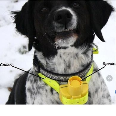 Бипер для охотничьих собак Janpet JPD100 водонепроницаемый желтый