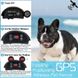 GPS электронный забор для собак - электроошейник Dog Fence EF851V, радиус 20 – 800 метров, воздействие вибрацией