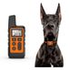 Электроошейник для собак дрессировочный Pet DTC-500 водонепроницаемый, дальность до 500 метров, оранжевый